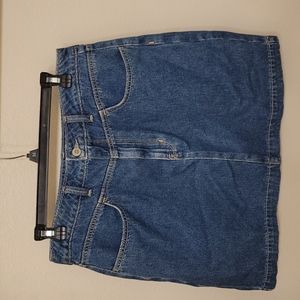 Jean Hollister Skirt